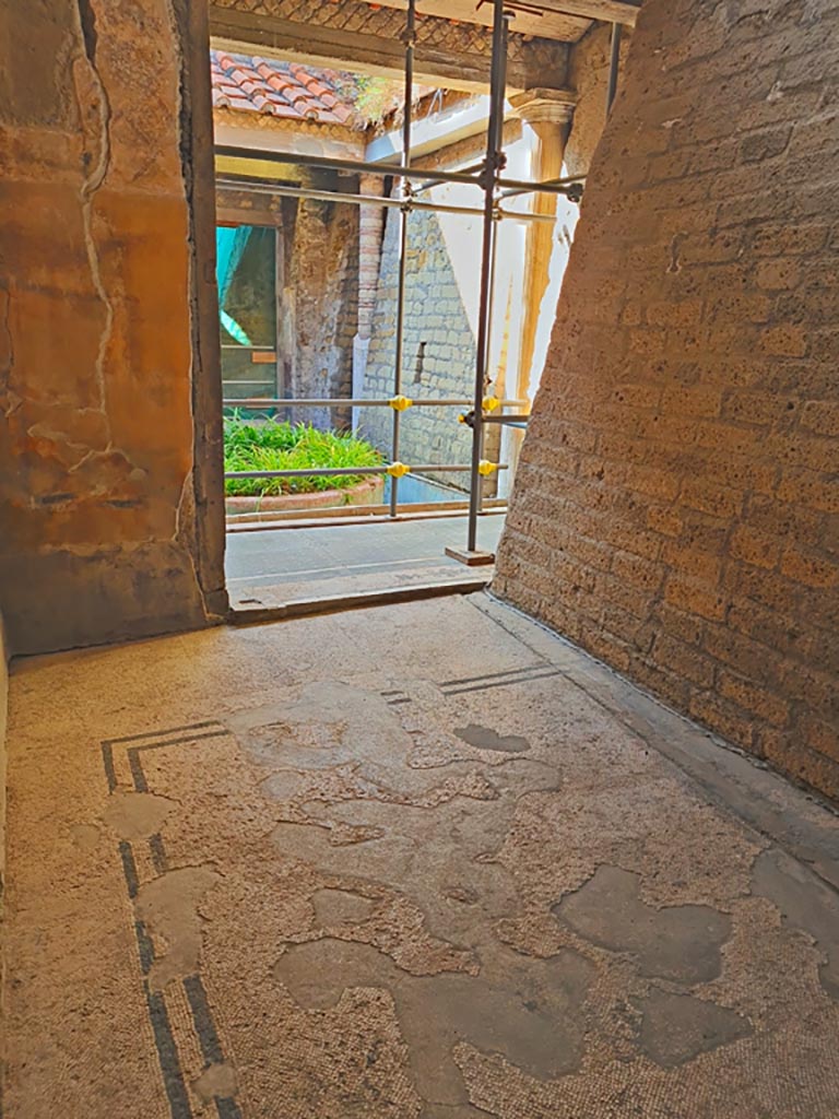 Oplontis Villa of Poppea, October 2023.
Room 31, looking towards south wall with large doorway to room 16. Photo courtesy of Giuseppe Ciaramella.
