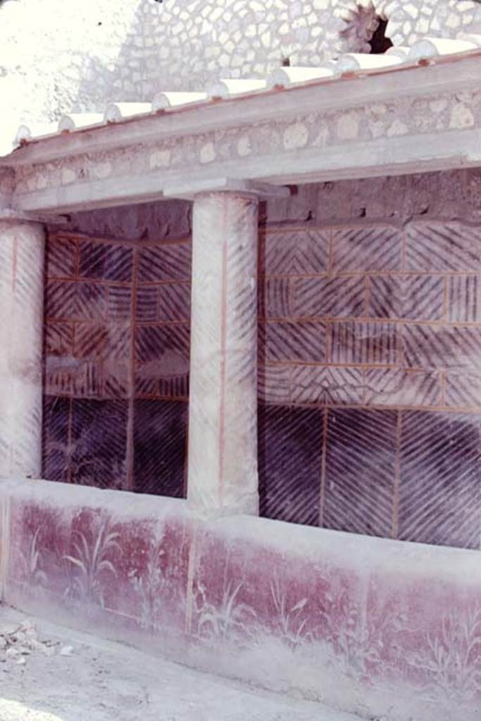 Oplontis, 1974. Room 32, rustic peristyle, with painted plants on the pluteus.
Photo by Stanley A. Jashemski.
Source: The Wilhelmina and Stanley A. Jashemski archive in the University of Maryland Library, Special Collections (See collection page) and made available under the Creative Commons Attribution-Non Commercial License v.4. See Licence and use details. J74f0642