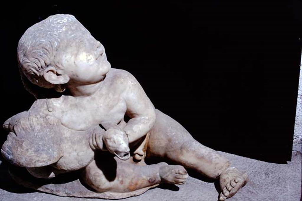 Oplontis, 1975. White marble statue of a young child with a goose. Photo by Stanley A. Jashemski.
Source: The Wilhelmina and Stanley A. Jashemski archive in the University of Maryland Library, Special Collections (See collection page) and made available under the Creative Commons Attribution-Non Commercial License v.4. See Licence and use details. J75f0425