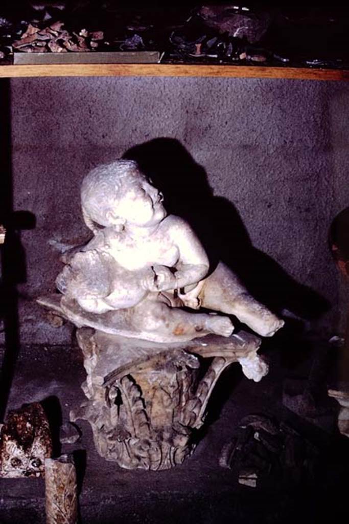 Oplontis, 1973. Statue of young child with goose. Photo by Stanley A. Jashemski.
Source: The Wilhelmina and Stanley A. Jashemski archive in the University of Maryland Library, Special Collections (See collection page) and made available under the Creative Commons Attribution-Non Commercial License v.4. See Licence and use details. J73f0391
