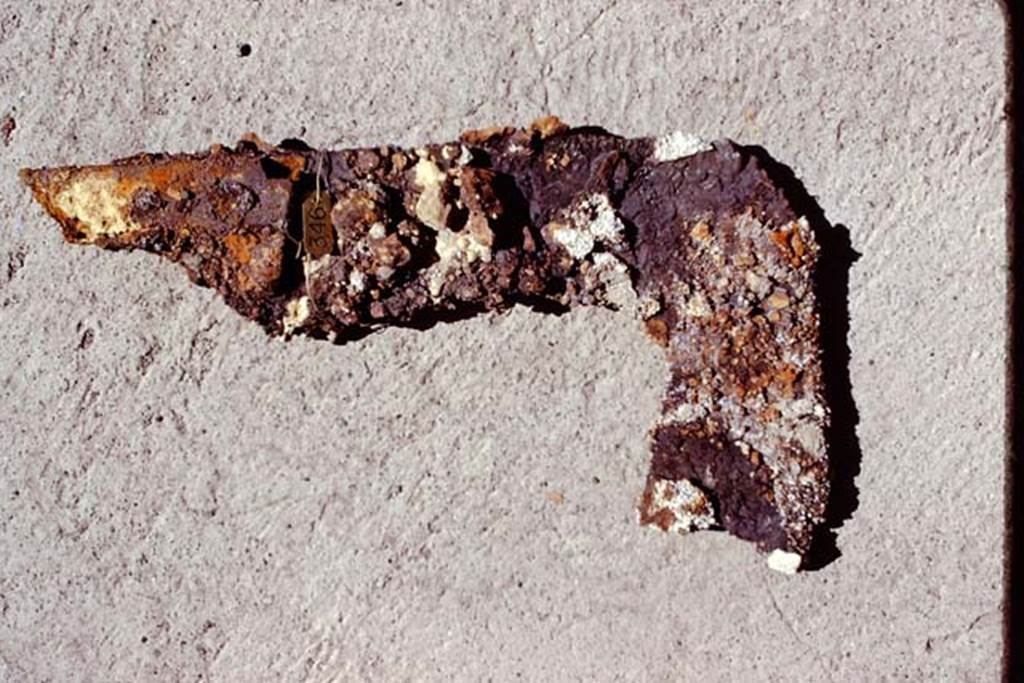 Oplontis, 1974. Pruning hook, found in rustic peristyle, room 32. Photo by Stanley A. Jashemski.
Source: The Wilhelmina and Stanley A. Jashemski archive in the University of Maryland Library, Special Collections (See collection page) and made available under the Creative Commons Attribution-Non Commercial License v.4. See Licence and use details. J74f0196