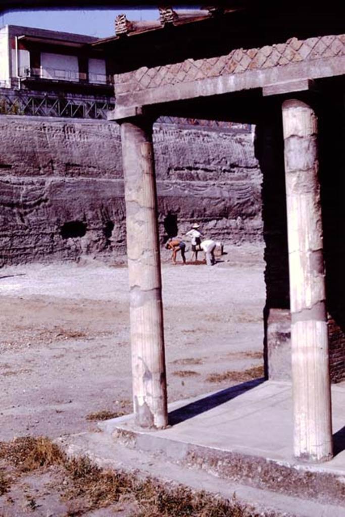 Oplontis, 1977. Looking from east portico, 34, towards north-east across rear garden.
Photo by Stanley A. Jashemski.
Source: The Wilhelmina and Stanley A. Jashemski archive in the University of Maryland Library, Special Collections (See collection page) and made available under the Creative Commons Attribution-Non Commercial License v.4. See Licence and use details. J77f0205