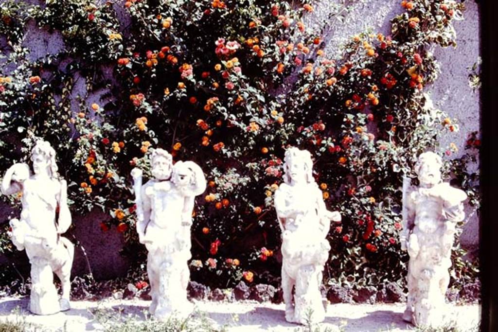 Oplontis, 1978. Portico 33, a group of four centaurs were found under the portico on 17th February 1970. Photo by Stanley A. Jashemski.
Source: The Wilhelmina and Stanley A. Jashemski archive in the University of Maryland Library, Special Collections (See collection page) and made available under the Creative Commons Attribution-Non Commercial License v.4. See Licence and use details. J78f0480