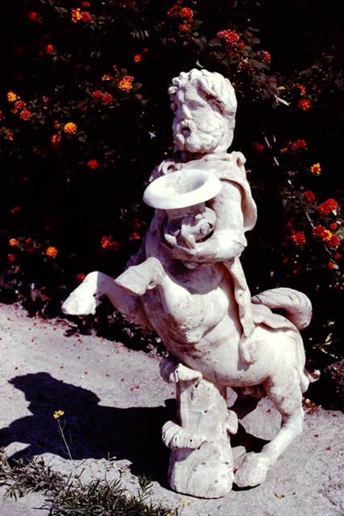 Oplontis, 1978. One of a group of four centaurs, a male holding a club and a crater.
Two centaur fountains would have been seen on each side of the central passageway in the north garden. There was no evidence of pipes, so they had not been used as fountains in their final location. Photo by Stanley A. Jashemski.
Source: The Wilhelmina and Stanley A. Jashemski archive in the University of Maryland Library, Special Collections (See collection page) and made available under the Creative Commons Attribution-Non Commercial License v.4. See Licence and use details. J78f0473