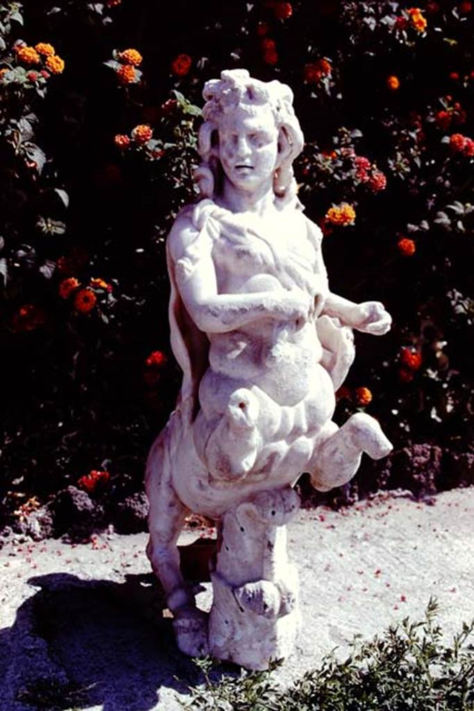 Oplontis, 1978. One of a group of four centaurs, a female holding a club and a lyre.
Two centaur fountains would have been seen on each side of the passageway.
There was no evidence of pipes, so they had not been used as fountains in their final location. Photo by Stanley A. Jashemski.
Source: The Wilhelmina and Stanley A. Jashemski archive in the University of Maryland Library, Special Collections (See collection page) and made available under the Creative Commons Attribution-Non Commercial License v.4. See Licence and use details. J78f0475