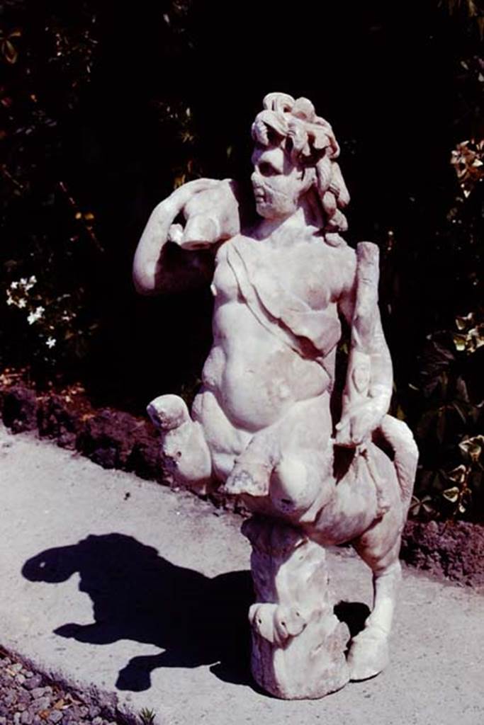 Oplontis, 1978. One of a group of four centaurs, a female holding a club and a fawn on her shoulder. Two centaur fountains would have bee seen on each side of the central passageway in the north garden. There was no evidence of pipes, so they had not been used as fountains in their final location. Photo by Stanley A. Jashemski.
Source: The Wilhelmina and Stanley A. Jashemski archive in the University of Maryland Library, Special Collections (See collection page) and made available under the Creative Commons Attribution-Non Commercial License v.4. See Licence and use details. J78f0479