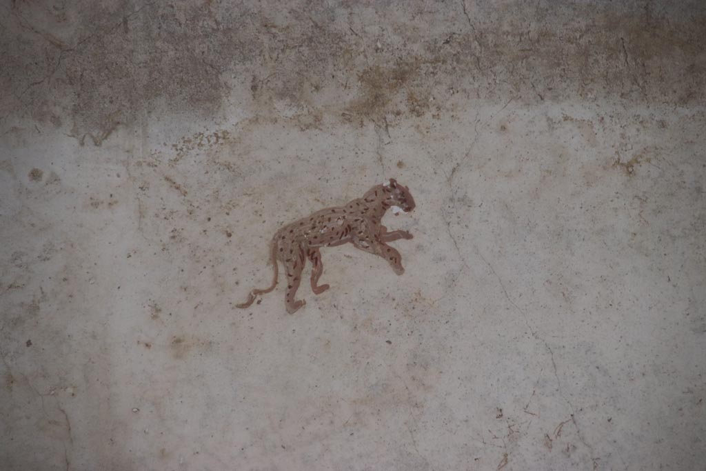 Villa of Poppaea, Oplontis, October 2023. Portico 40, detail of leopard from east wall. Photo courtesy of Klaus Heese.