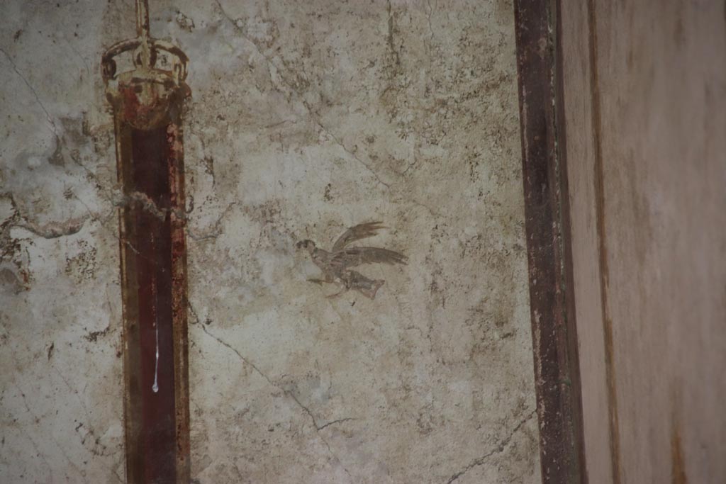 Oplontis Villa of Poppea, May 2024.
Room 41, detail of painted bird from upper west wall of alcove, on right. Photo courtesy of Klaus Heese.