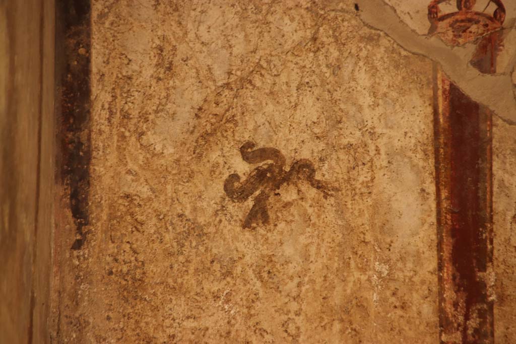 Oplontis Villa of Poppea, October2020. Room 41, detail of painted decoration from upper north wall of alcove, at west end.
Photo courtesy of Klaus Heese.