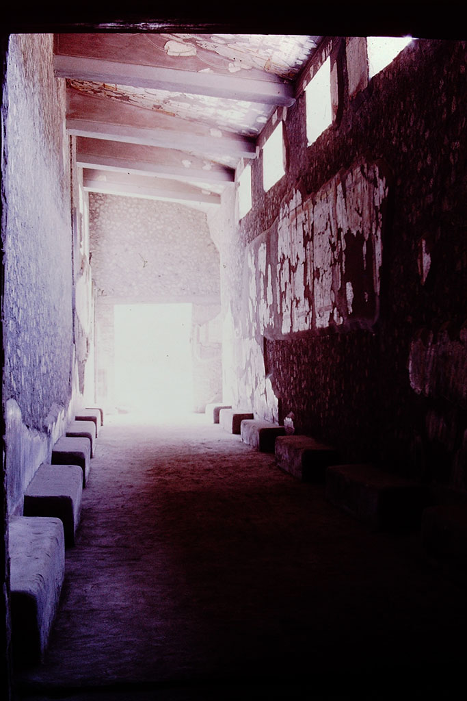 Oplontis Villa of Poppea, 1977.
Room 46, corridor with benches, looking east towards doorway to portico 60. Photo by Stanley A. Jashemski.
Source: The Wilhelmina and Stanley A. Jashemski archive in the University of Maryland Library, Special Collections (See collection page) and made available under the Creative Commons Attribution-Non-Commercial License v.4. See Licence and use details.
J77f0211