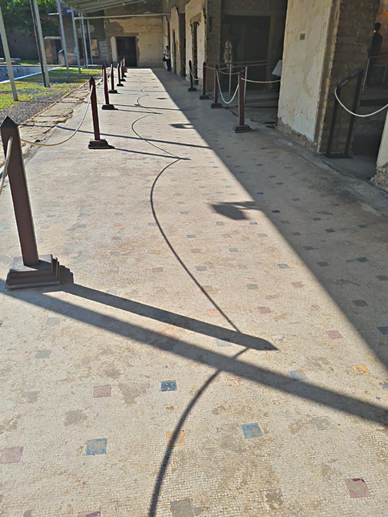 Oplontis Villa of Poppea, October 2023.
Portico 60, looking south along mosaic flooring. Photo courtesy of Giuseppe Ciaramella.