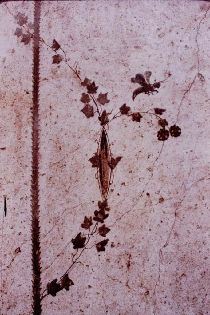 Oplontis, 1977 Area 60, west wall of portico, between doorways to room 66, and corridor 46.
Painted small cricket or butterfly. Photo by Stanley A. Jashemski.
Source: The Wilhelmina and Stanley A. Jashemski archive in the University of Maryland Library, Special Collections (See collection page) and made available under the Creative Commons Attribution-Non Commercial License v.4. See Licence and use details.
J77f0159
