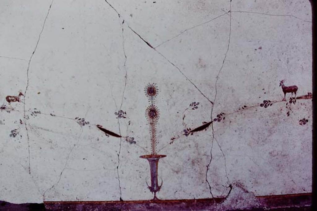Oplontis, 1977. Area 60, west wall of portico, between doorways to room 66, and corridor 46. Urn and two goats. Photo by Stanley A. Jashemski.
Source: The Wilhelmina and Stanley A. Jashemski archive in the University of Maryland Library, Special Collections (See collection page) and made available under the Creative Commons Attribution-Non Commercial License v.4. See Licence and use details.
J77f0385