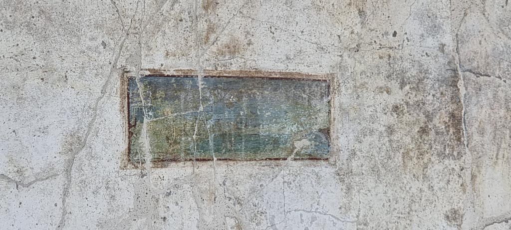 Oplontis Villa of Poppea, January 2023.
Area 60, west wall of portico, painted panel from north side of doorway to room 72. Photo courtesy of Miriam Colomer.