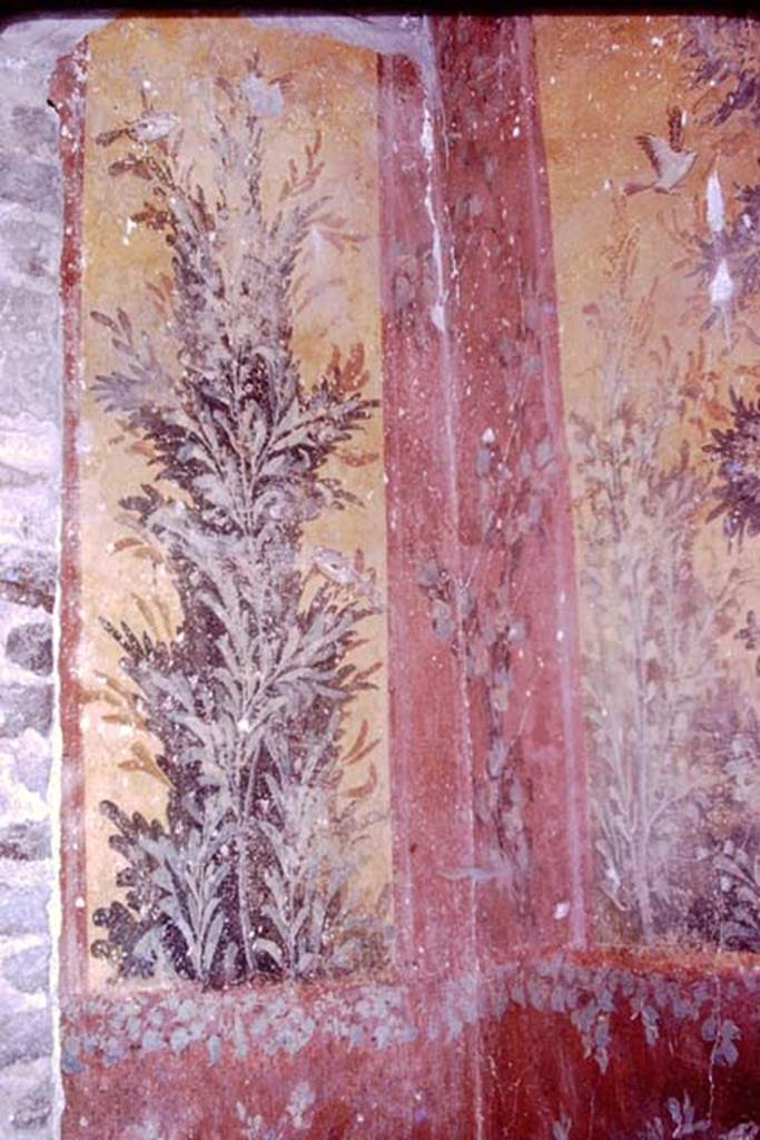 Oplontis, 1977. Room 61, looking towards the east wall and south-east corner. Photo by Stanley A. Jashemski.
Source: The Wilhelmina and Stanley A. Jashemski archive in the University of Maryland Library, Special Collections (See collection page) and made available under the Creative Commons Attribution-Non Commercial License v.4. See Licence and use details. J77f0219