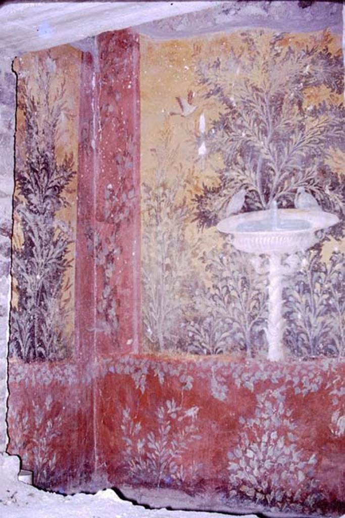 Oplontis, 1977. Room 61, looking towards the south-east corner. Photo by Stanley A. Jashemski.
Source: The Wilhelmina and Stanley A. Jashemski archive in the University of Maryland Library, Special Collections (See collection page) and made available under the Creative Commons Attribution-Non Commercial License v.4. See Licence and use details. J77f0217