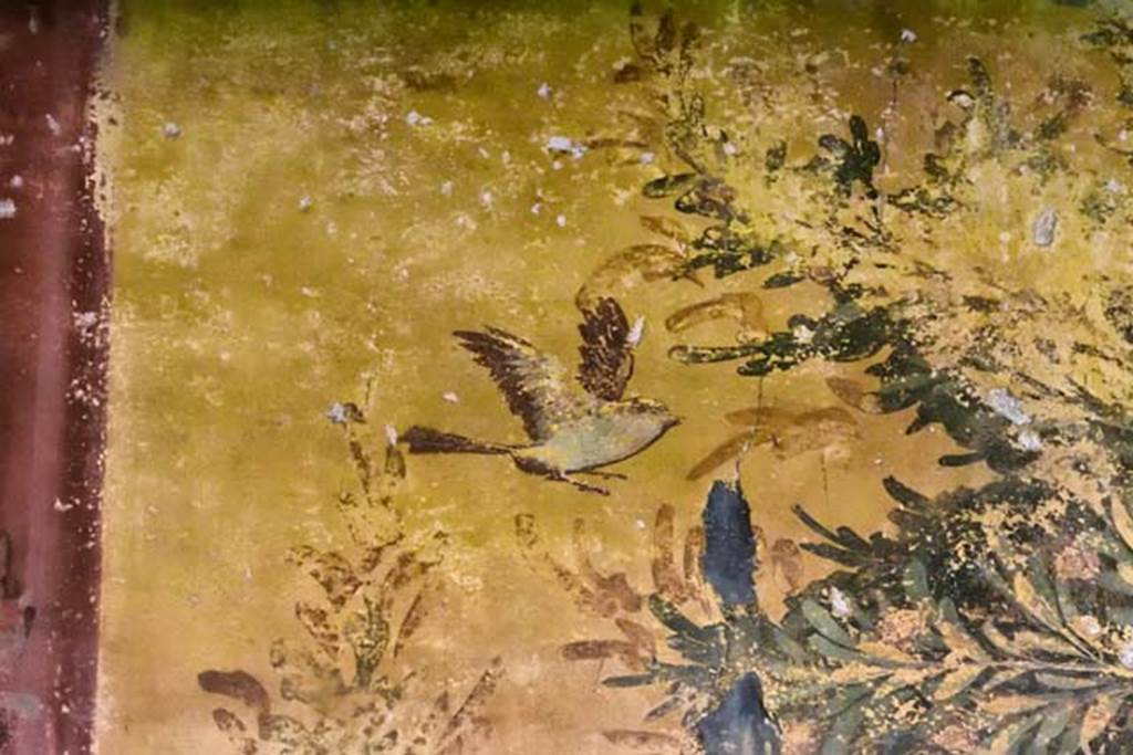 Oplontis Villa of Poppea, April 2018. Room 61, detail of painted bird from south wall.
Photo courtesy of Ian Lycett-King. Use is subject to Creative Commons Attribution-NonCommercial License v.4 International.
