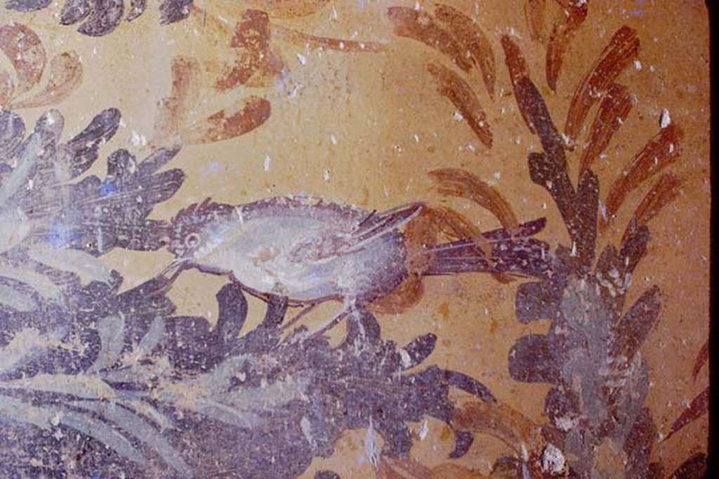 Oplontis. 1976. Room 61, detail of painted bird from south wall of raised courtyard garden. Photo by Stanley A. Jashemski.
Source: The Wilhelmina and Stanley A. Jashemski archive in the University of Maryland Library, Special Collections (See collection page) and made available under the Creative Commons Attribution-Non Commercial License v.4. See Licence and use details. J76f0407