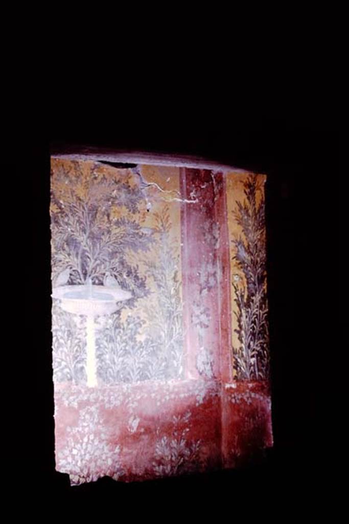 Oplontis, 1976.Room 61, looking through the window from room 65. Photo by Stanley A. Jashemski.
Source: The Wilhelmina and Stanley A. Jashemski archive in the University of Maryland Library, Special Collections (See collection page) and made available under the Creative Commons Attribution-Non Commercial License v.4. See Licence and use details. J76f0398
