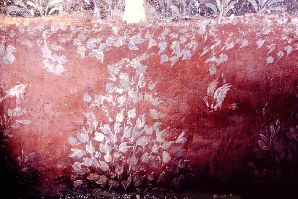 Oplontis, 1976.Room 61, detail from zoccolo (dado/plinth on lower wall) below fountain. Photo by Stanley A. Jashemski.
Source: The Wilhelmina and Stanley A. Jashemski archive in the University of Maryland Library, Special Collections (See collection page) and made available under the Creative Commons Attribution-Non Commercial License v.4. See Licence and use details. J76f0395