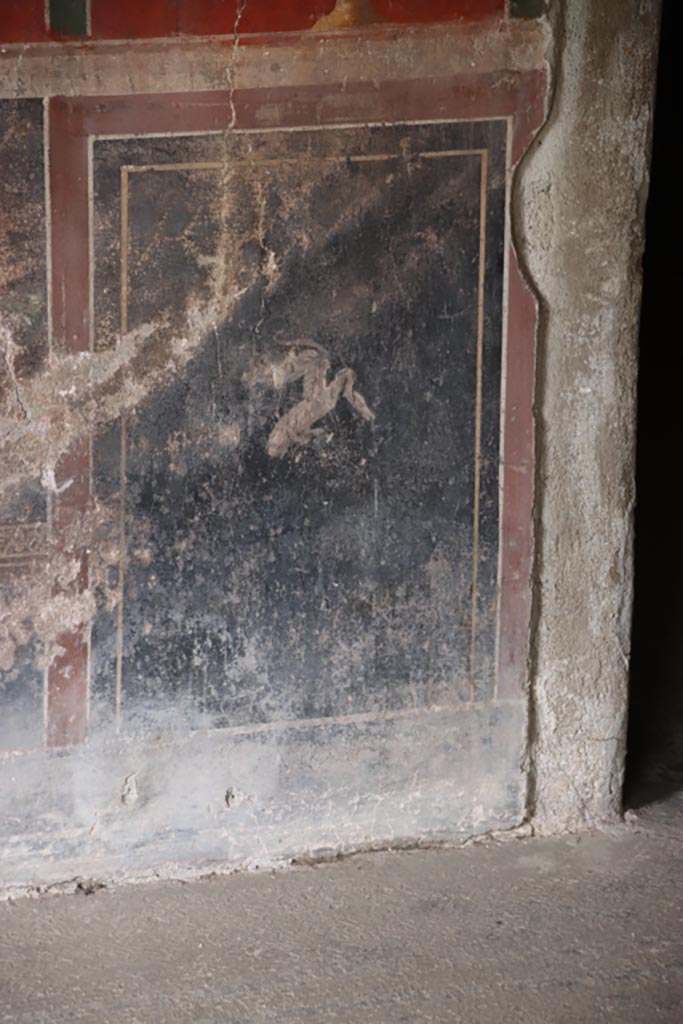 Oplontis Villa of Poppea, May 2024.
Room 66, detail of painted decoration on zoccolo of south wall. Photo courtesy of Klaus Heese.