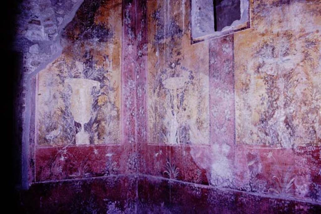 Oplontis, 1977. Room 68, south-west corner and west wall Photo by Stanley A. Jashemski.
Source: The Wilhelmina and Stanley A. Jashemski archive in the University of Maryland Library, Special Collections (See collection page) and made available under the Creative Commons Attribution-Non Commercial License v.4. See Licence and use details. J77f0365