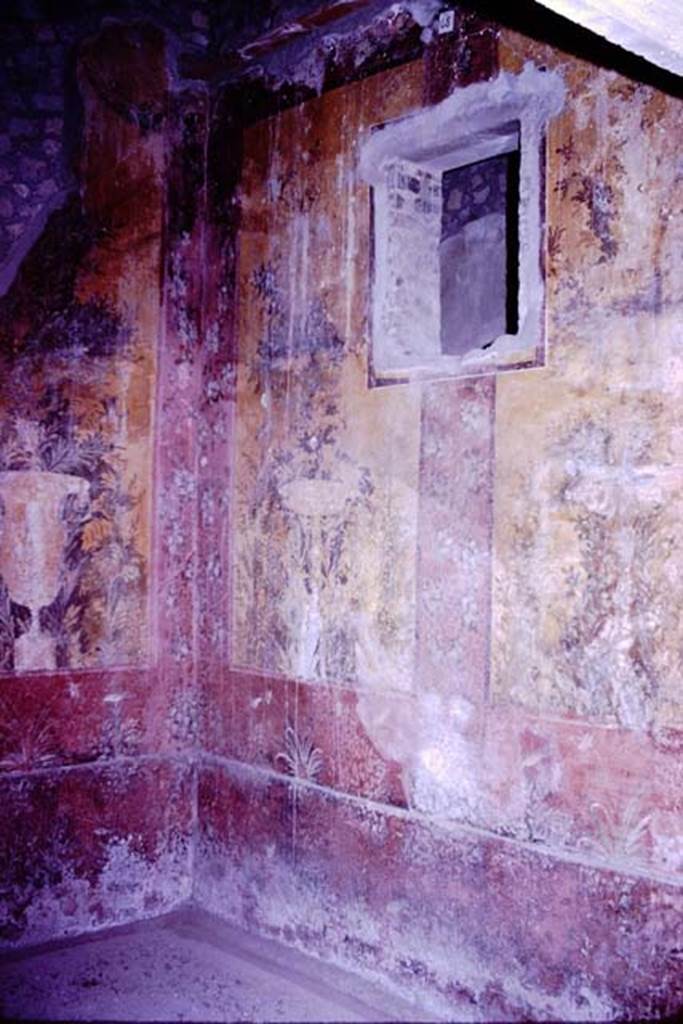 Oplontis, 1977. Room 68, south-west corner and west wall. Photo by Stanley A. Jashemski.
Source: The Wilhelmina and Stanley A. Jashemski archive in the University of Maryland Library, Special Collections (See collection page) and made available under the Creative Commons Attribution-Non Commercial License v.4. See Licence and use details. J77f0368