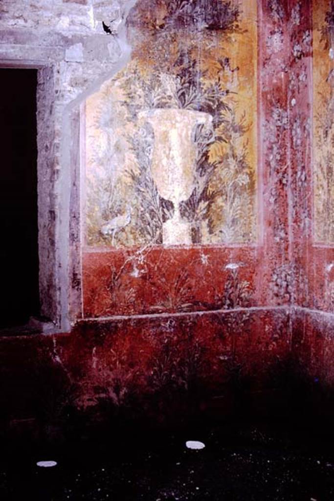Oplontis, 1976. Room 68, wall with garden painting in south-west corner. Photo by Stanley A. Jashemski.
Source: The Wilhelmina and Stanley A. Jashemski archive in the University of Maryland Library, Special Collections (See collection page) and made available under the Creative Commons Attribution-Non Commercial License v.4. See Licence and use details. J76f0414