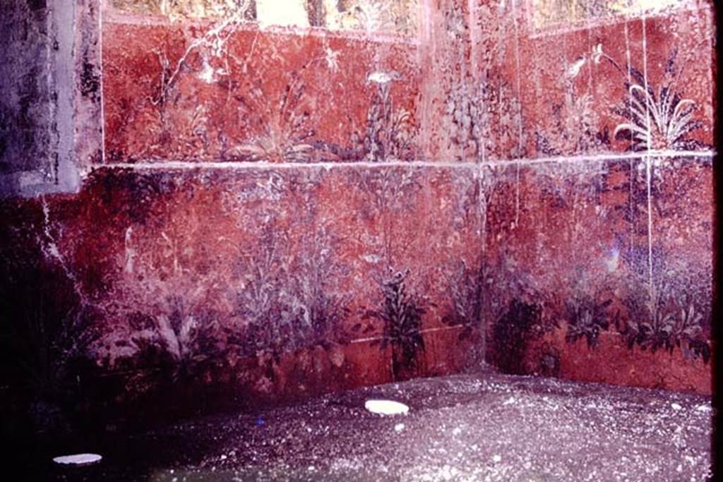 Oplontis. 1976. Room 68, root cavities (the white discs in the soil) in south-west corner. Photo by Stanley A. Jashemski.
Source: The Wilhelmina and Stanley A. Jashemski archive in the University of Maryland Library, Special Collections (See collection page) and made available under the Creative Commons Attribution-Non Commercial License v.4. See Licence and use details. J76f0417
