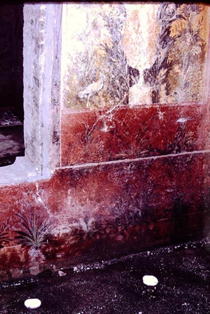 Oplontis. 1976. Room 68, root cavities and detail of wall painting. Photo by Stanley A. Jashemski.
Source: The Wilhelmina and Stanley A. Jashemski archive in the University of Maryland Library, Special Collections (See collection page) and made available under the Creative Commons Attribution-Non Commercial License v.4. See Licence and use details. J76f0415