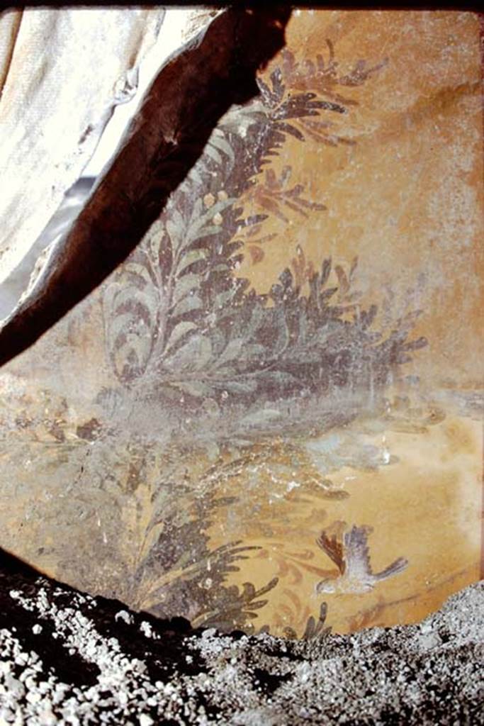 Oplontis, 1975. Room 68, south wall with detail of painted bird and plants.
Photo by Stanley A. Jashemski.
Source: The Wilhelmina and Stanley A. Jashemski archive in the University of Maryland Library, Special Collections (See collection page) and made available under the Creative Commons Attribution-Non Commercial License v.4. See Licence and use details. J75f0297