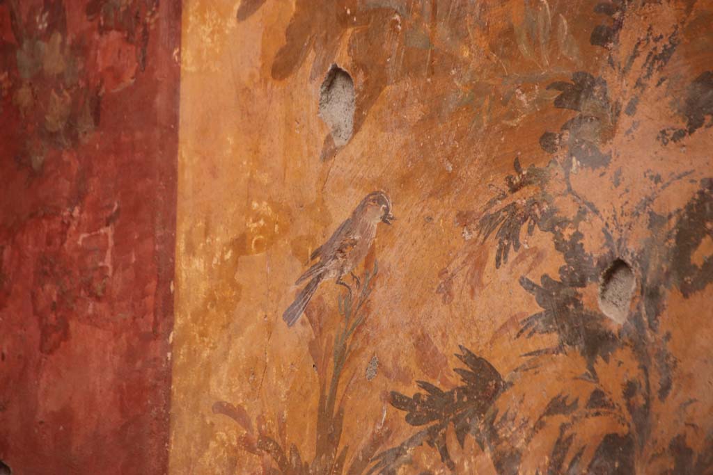 Oplontis Villa of Poppea, October 2020.
Room 68, detail of painted bird on west wall at south end. Photo courtesy of Klaus Heese.