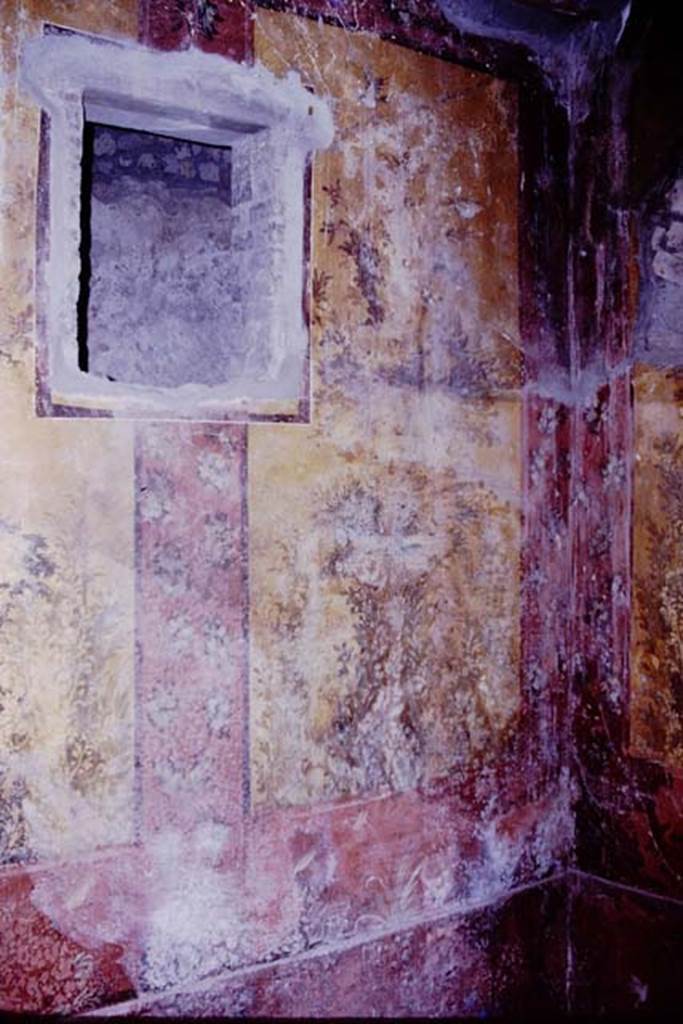 Oplontis, 1977. Room 68, west wall and north-west corner. Photo by Stanley A. Jashemski.
Source: The Wilhelmina and Stanley A. Jashemski archive in the University of Maryland Library, Special Collections (See collection page) and made available under the Creative Commons Attribution-Non Commercial License v.4. See Licence and use details. J77f0327