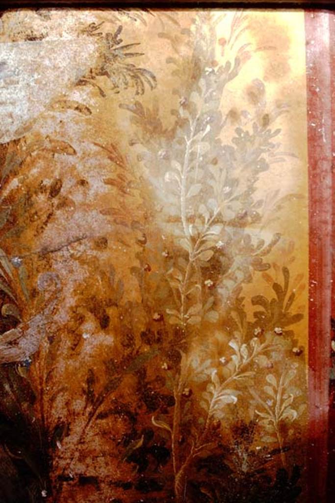 Oplontis, 1975. Room 68, detail of painted plants at north end of west wall.
Photo by Stanley A. Jashemski.
Source: The Wilhelmina and Stanley A. Jashemski archive in the University of Maryland Library, Special Collections (See collection page) and made available under the Creative Commons Attribution-Non Commercial License v.4. See Licence and use details. J75f0299