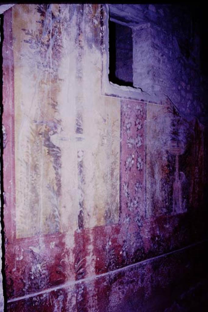 Oplontis, 1977. Room 68, looking towards east wall. Photo by Stanley A. Jashemski.
Source: The Wilhelmina and Stanley A. Jashemski archive in the University of Maryland Library, Special Collections (See collection page) and made available under the Creative Commons Attribution-Non Commercial License v.4. See Licence and use details. J77f0366