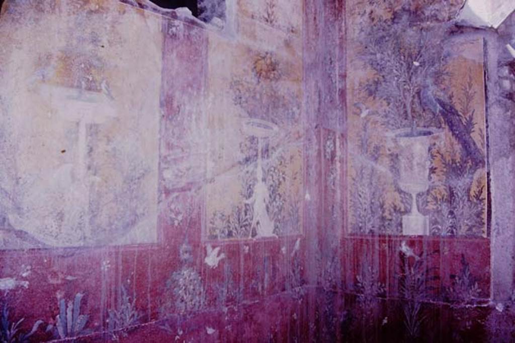Oplontis, 1977. Room 70, west wall and north-west corner. Photo by Stanley A. Jashemski.
Source: The Wilhelmina and Stanley A. Jashemski archive in the University of Maryland Library, Special Collections (See collection page) and made available under the Creative Commons Attribution-Non Commercial License v.4. See Licence and use details. J77f0373