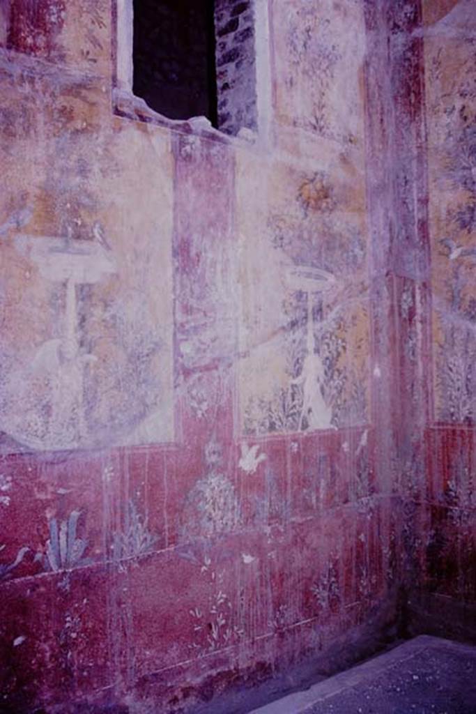 Oplontis, 1977. Room 70, lower west wall and garden surround in north-west corner. Photo by Stanley A. Jashemski.
Source: The Wilhelmina and Stanley A. Jashemski archive in the University of Maryland Library, Special Collections (See collection page) and made available under the Creative Commons Attribution-Non Commercial License v.4. See Licence and use details. J77f0374