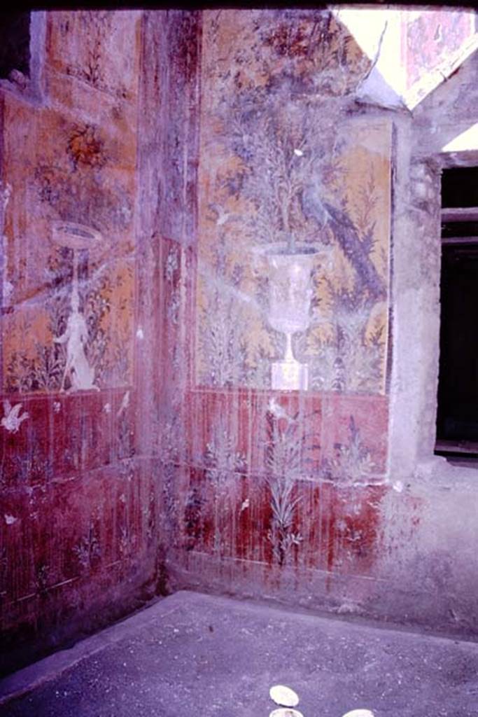 Oplontis, 1977. Room 70, lower north-west corner, and garden area. Photo by Stanley A. Jashemski.
Source: The Wilhelmina and Stanley A. Jashemski archive in the University of Maryland Library, Special Collections (See collection page) and made available under the Creative Commons Attribution-Non Commercial License v.4. See Licence and use details. J77f0376