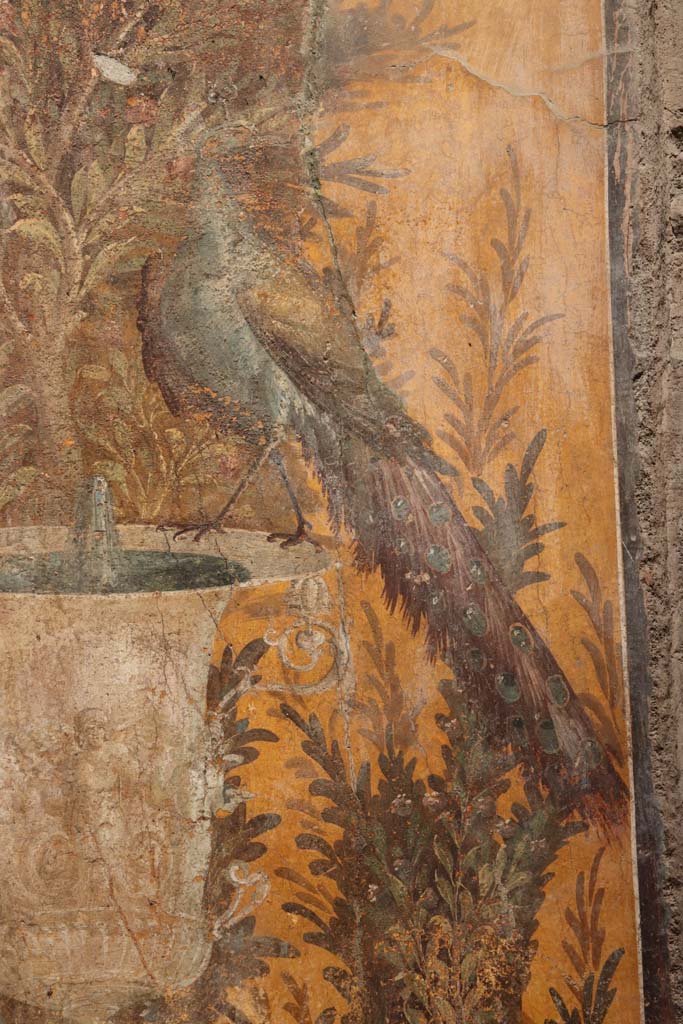 Oplontis Villa of Poppea, September 2021.
Room 70, detail of peacock on north wall in north-west corner. Photo courtesy of Klaus Heese.