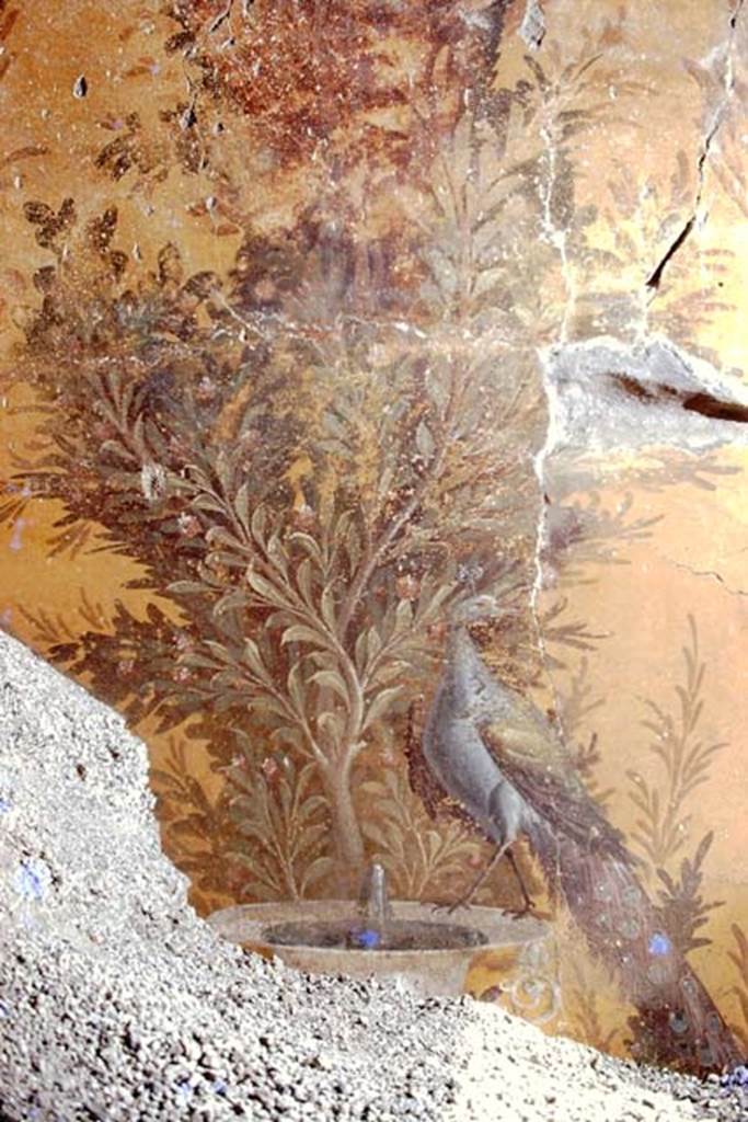 Oplontis, 1975. Room 70, wall painting from north wall in north-west corner. Photo by Stanley A. Jashemski.
Source: The Wilhelmina and Stanley A. Jashemski archive in the University of Maryland Library, Special Collections (See collection page) and made available under the Creative Commons Attribution-Non Commercial License v.4. See Licence and use details. J75f0307