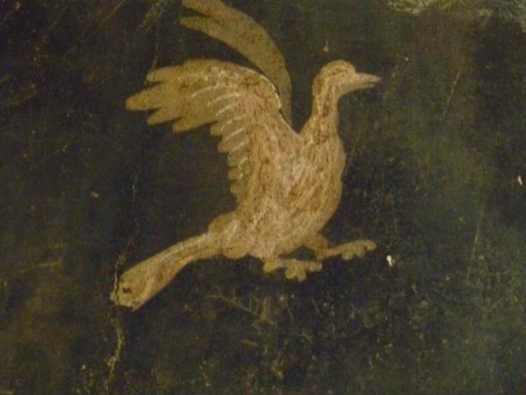Oplontis, May 2011. Corridor 77, detail of bird from centre of panel. Photo courtesy of Michael Binns.