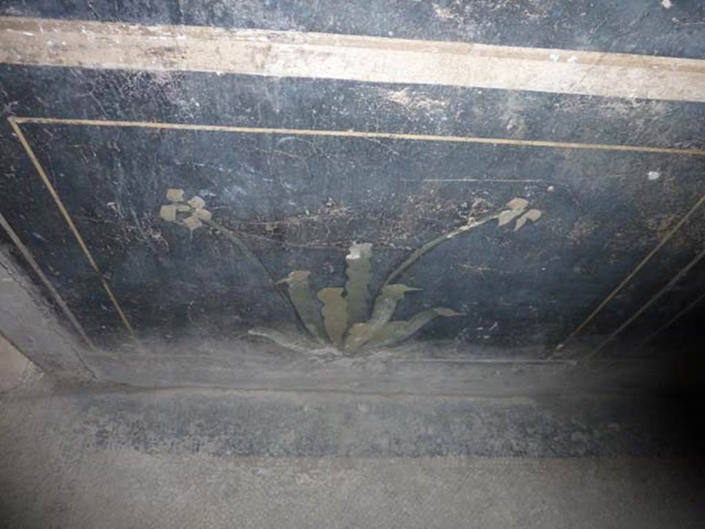 Oplontis, September 2015. Corridor 77, black zoccolo on east wall.