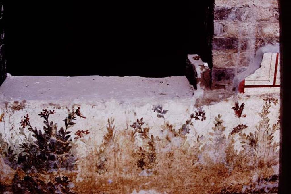 Oplontis, c.1977. Room 78, garden painting of plants and birds on exterior wall.
Source: The Wilhelmina and Stanley A. Jashemski archive in the University of Maryland Library, Special Collections (See collection page) and made available under the Creative Commons Attribution-Non Commercial License v.4. See Licence and use details. Oplo0100