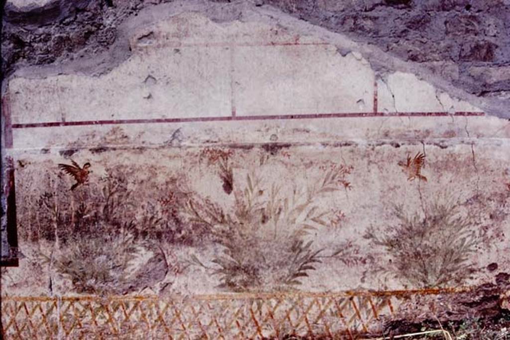 Oplontis, c.1977. Room 78, exterior wall to the north (right) of the window, with a painted bird possibly a pigeon sitting on the trellis. Two birds fly above the painted plants. Photo by Stanley A. Jashemski.
Source: The Wilhelmina and Stanley A. Jashemski archive in the University of Maryland Library, Special Collections (See collection page) and made available under the Creative Commons Attribution-Non Commercial License v.4. See Licence and use details. Oplo0139