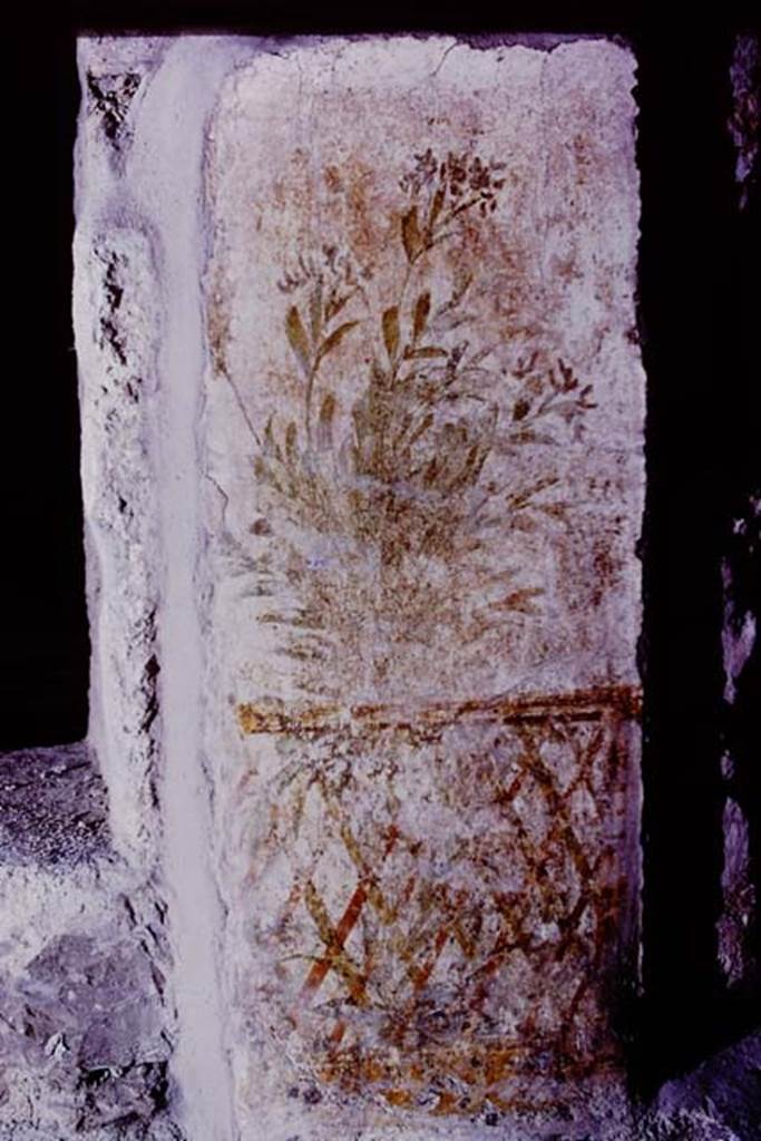 Oplontis, 1977. Room 78, exterior painted dado wall with trellis and garden painting. Photo by Stanley A. Jashemski.
Source: The Wilhelmina and Stanley A. Jashemski archive in the University of Maryland Library, Special Collections (See collection page) and made available under the Creative Commons Attribution-Non Commercial License v.4. See Licence and use details. J77f0227
