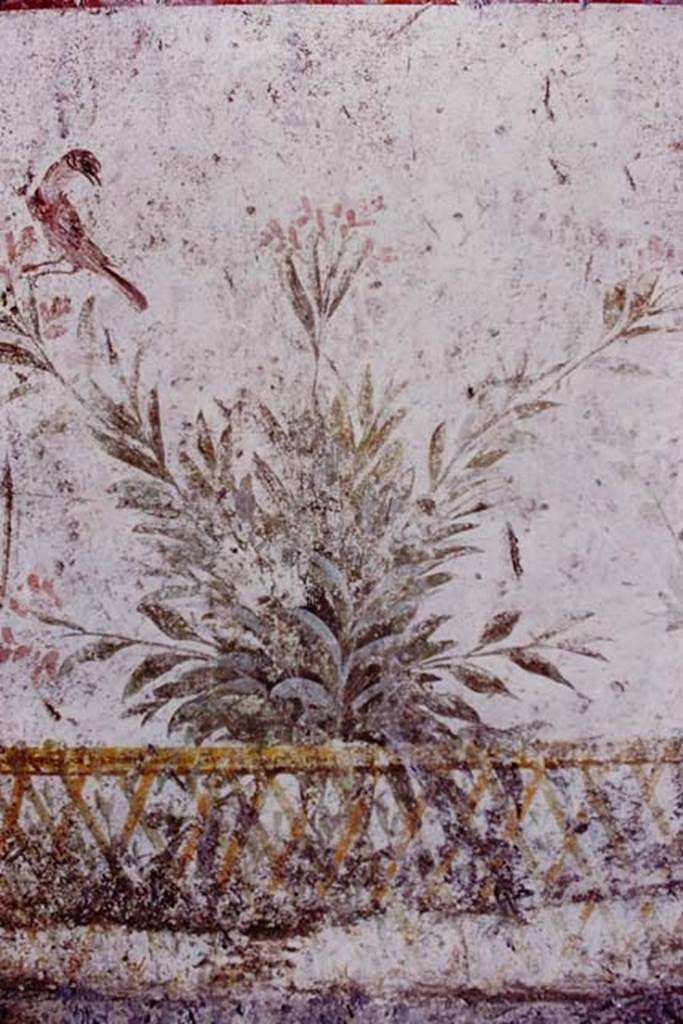 Oplontis, 1977. Room 87, painted garden with trellis fencing, plants and bird. Photo by Stanley A. Jashemski.
Source: The Wilhelmina and Stanley A. Jashemski archive in the University of Maryland Library, Special Collections (See collection page) and made available under the Creative Commons Attribution-Non Commercial License v.4. See Licence and use details. J77f0231