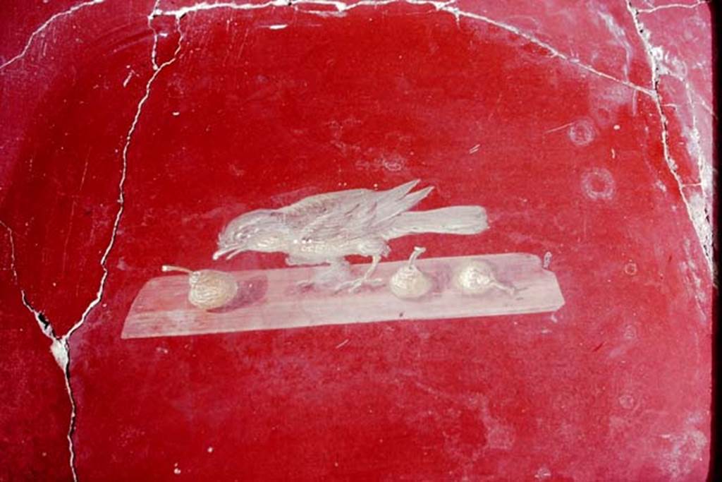 Oplontis, 1977. Room 81, bird pecking at fruit. Photo by Stanley A. Jashemski.
Source: The Wilhelmina and Stanley A. Jashemski archive in the University of Maryland Library, Special Collections (See collection page) and made available under the Creative Commons Attribution-Non Commercial License v.4. See Licence and use details. J77f0389