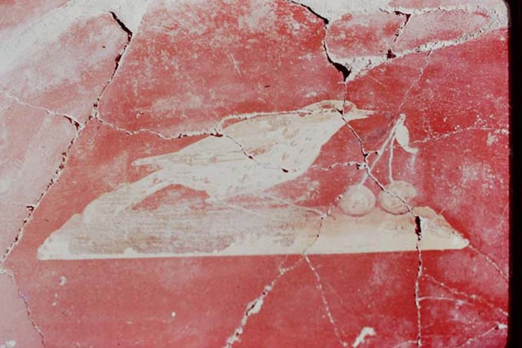 Oplontis Villa of Poppea, 1977. Room 81, painted panel of bird with fruit. Photo by Stanley A. Jashemski.
Source: The Wilhelmina and Stanley A. Jashemski archive in the University of Maryland Library, Special Collections (See collection page) and made available under the Creative Commons Attribution-Non-Commercial License v.4. See Licence and use details.
J77f0390