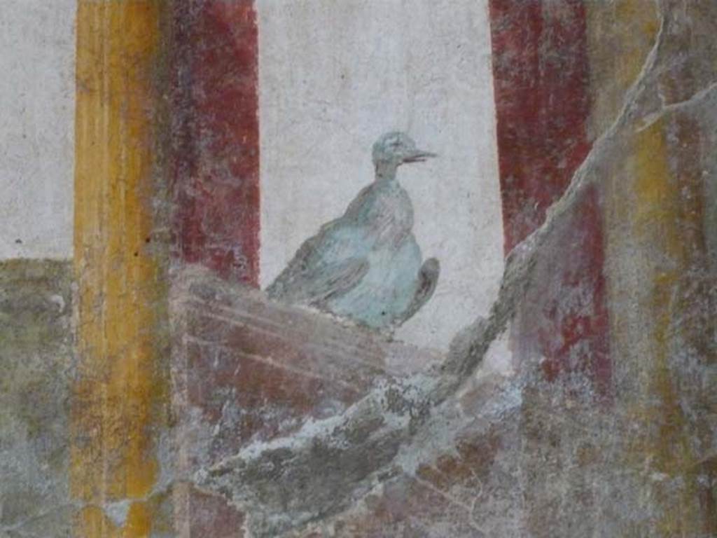 Oplontis, September 2015. Room 81, detail of painted dove from panel on south wall.
