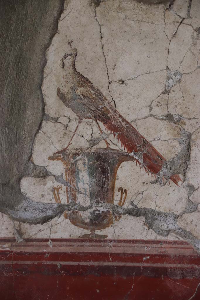 Oplontis Villa of Poppea, September 2021.
Room 81, detail of peacock from panel on south wall. Photo courtesy of Klaus Heese.